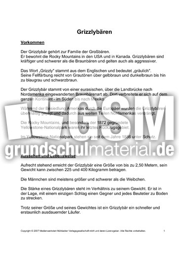 Fehlerlesen-Grizzlybär-nur-Text-1-3.pdf